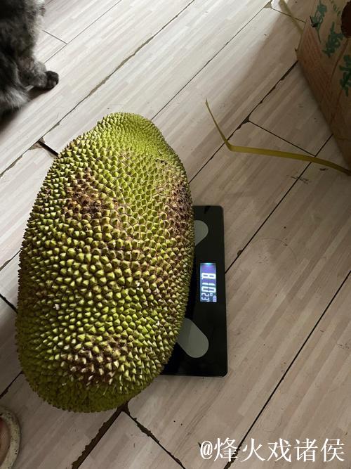 BLM6XYZ菠萝蜜精彩视频分享平台